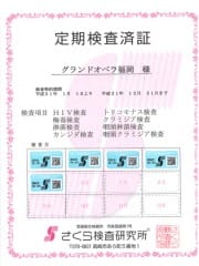 【検査してますか？】 2026-06-07 00:27:23 | グランドオペラ福岡店長ブログ