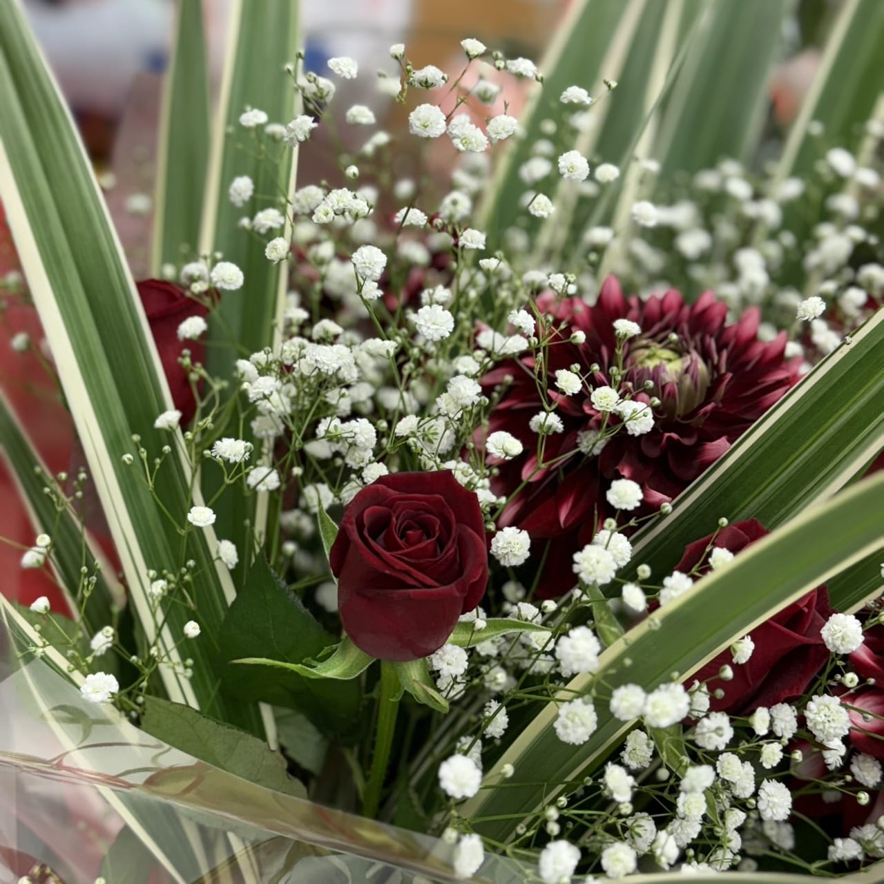 スタッフの虎一（とらいち）です♪ 2025-12-14 21:08:27 | Honey Bee(ハニービー)店長ブログ