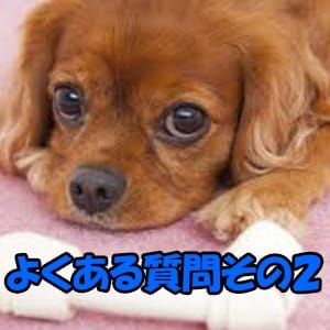 よくあるご質問その2☆ 2026-02-09 21:39:32 | 新橋スウィーツ店長ブログ