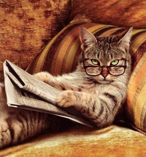 お店が求めることは・・・？ 2026-04-19 02:09:13 | アロマエステ クラル函館店店長ブログ