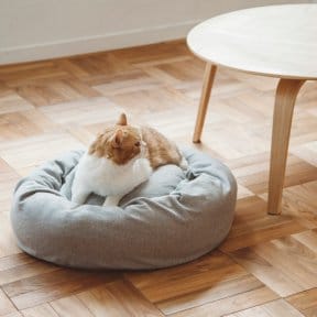 待機時間、どう過ごす？ 2026-04-20 01:38:45 | アロマエステ クラル函館店店長ブログ