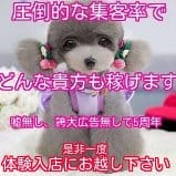 ☆【チップ制度導入店】【病院と提携】性病検査が超格安!!お電話後すぐ♪面接頂いた方積極採用優遇制 2026-09-14 12:07:04 | 千葉サンキュー店長ブログ