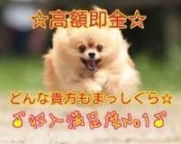 ☆【病院と提携】しているのは当店だけ！迷っているなら何でも聞いて下さい☆積極採用宣言!!すぐに体 2026-09-14 15:07:03 | 千葉サンキュー店長ブログ