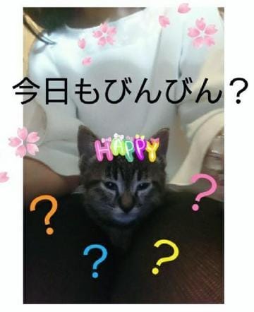 「出勤しました。」04/01(日) 11:37 | まこの写メ・風俗動画