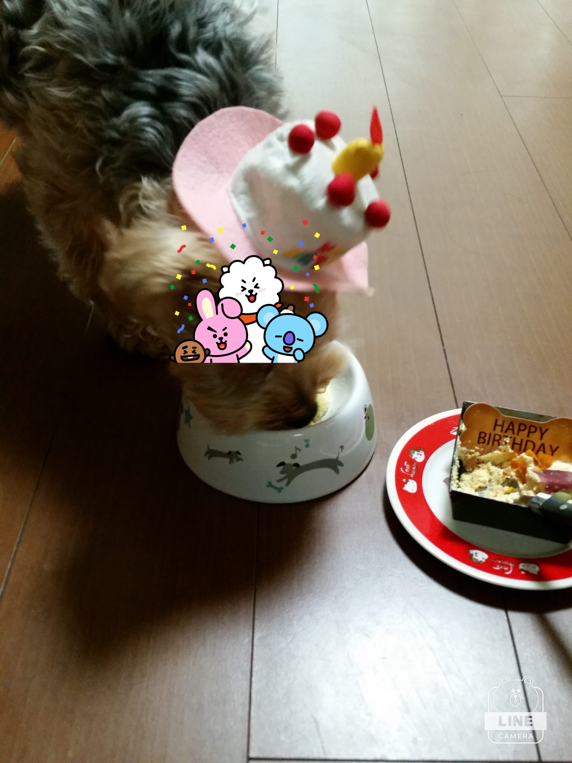 「おはようございます」04/23(月) 07:26 | 十和子(とわこ)の写メ・風俗動画