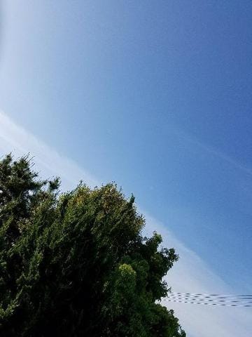 「٩(๑´0`๑)۶」04/26(木) 07:08 | えみ【吸い込まれそうな瞳】の写メ・風俗動画