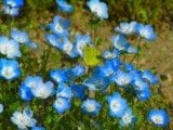 「ちかで〜す♪」04/27(金) 07:20 | ちかの写メ・風俗動画