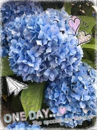 「梅雨の風物詩…」06/14(木) 14:23 | マリエの写メ・風俗動画