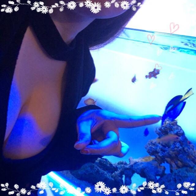 「ありがとうございます(´˘`*)」06/20(水) 15:39 | みずきの写メ・風俗動画