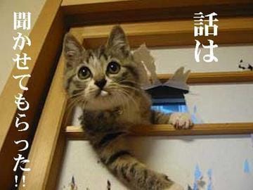 「松戸市の鉄板デリヘルは【桃色奥様】です」08/18(土) 03:21 | 松戸本店店長の写メ・風俗動画