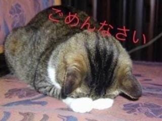 「お知らせです」08/20(月) 22:33 | 友梨奈(ゆりな)の写メ・風俗動画