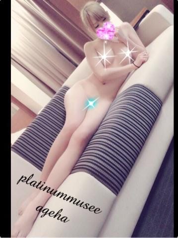 あげは【業界未経験看板美女】|