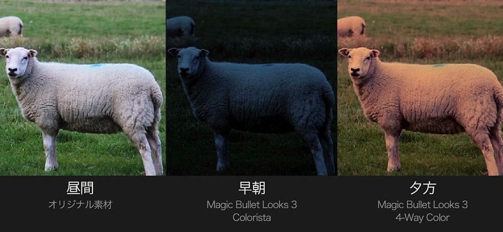 Simon Walker 氏による Magic Bullet Suite 12 の活用事例