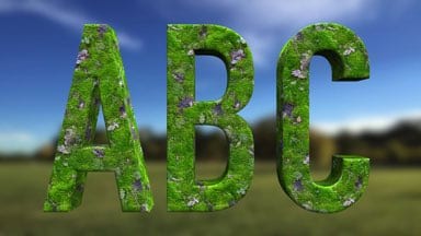 Misc-Grass and Leaves