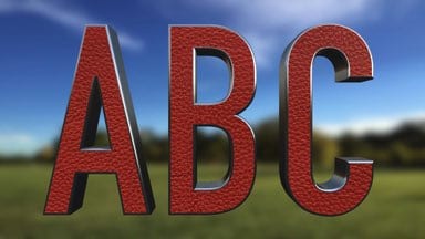 Fabric-Ringed Leather