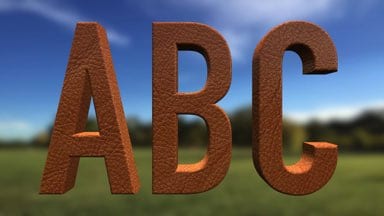 Fabric-Orange Leather