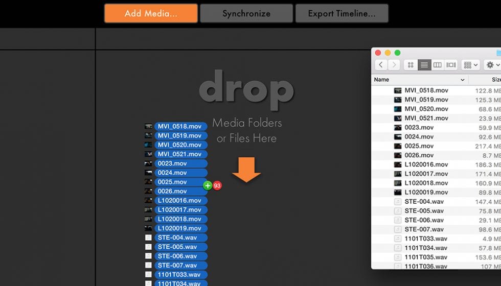 redgiant_pluraleyes_feature_003