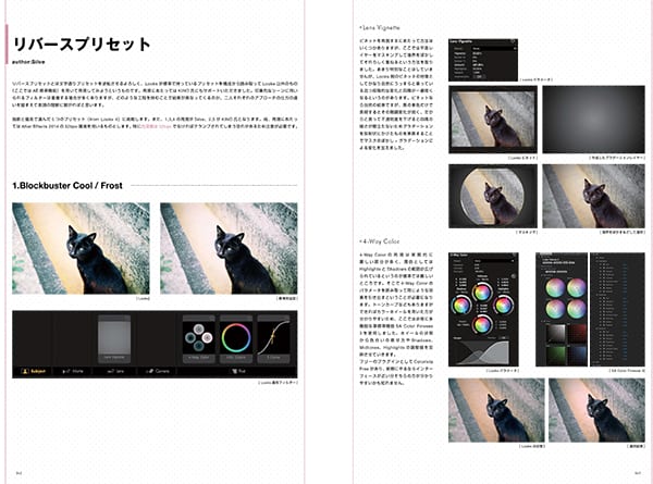 silve_magic_visualizer_sample_012
