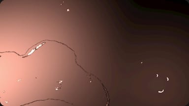 Textured Burn Outs 03