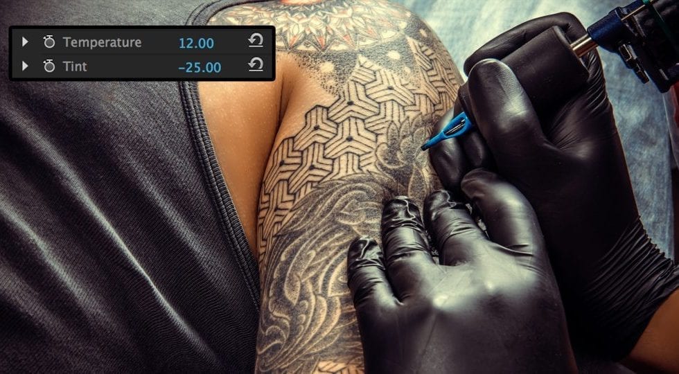 Magic Bullet Colorista IV Color-Temp-Tint-large