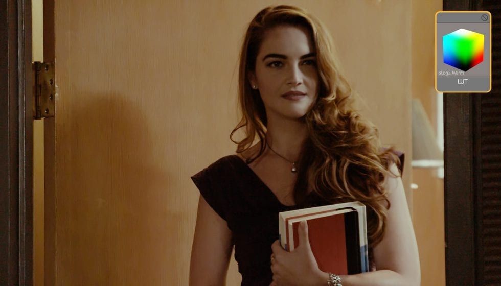 Magic Bullet Looks 4 LUT