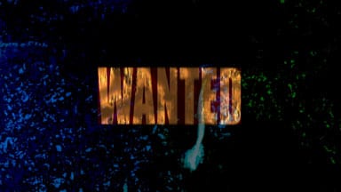 Wanted (960×720 Optimized)