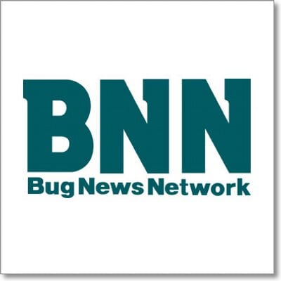 ビー・エヌ・エヌ新社