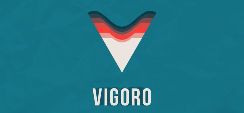 Vigoro:フローティングライセンスの販売を開始しました