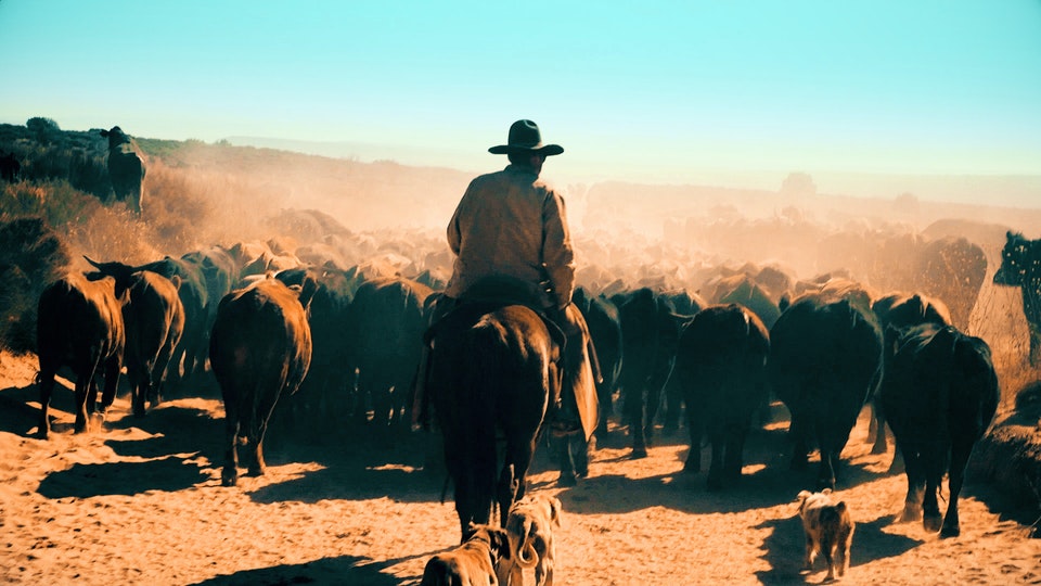 Magic_Bullet_Mojo_Hero