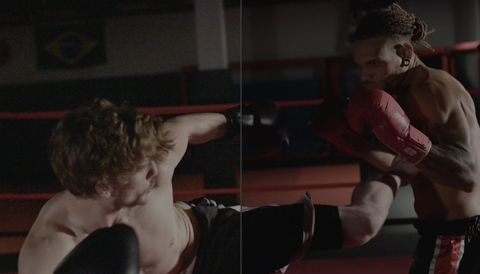 Denoiser-III-One-Step1