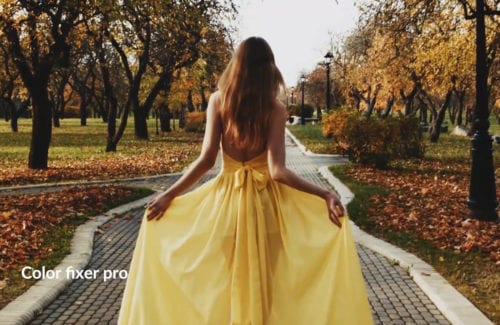 Color Fixer Pro