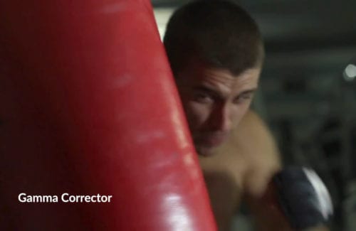 Gamma Corrector