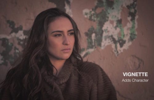Vignette
