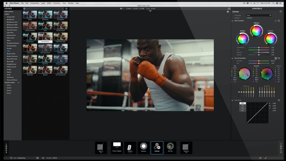 Magic_Bullet_Looks_UI