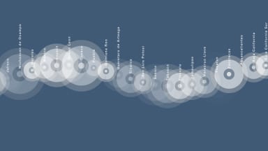 NS-Sinusoidal-Soft-Shape