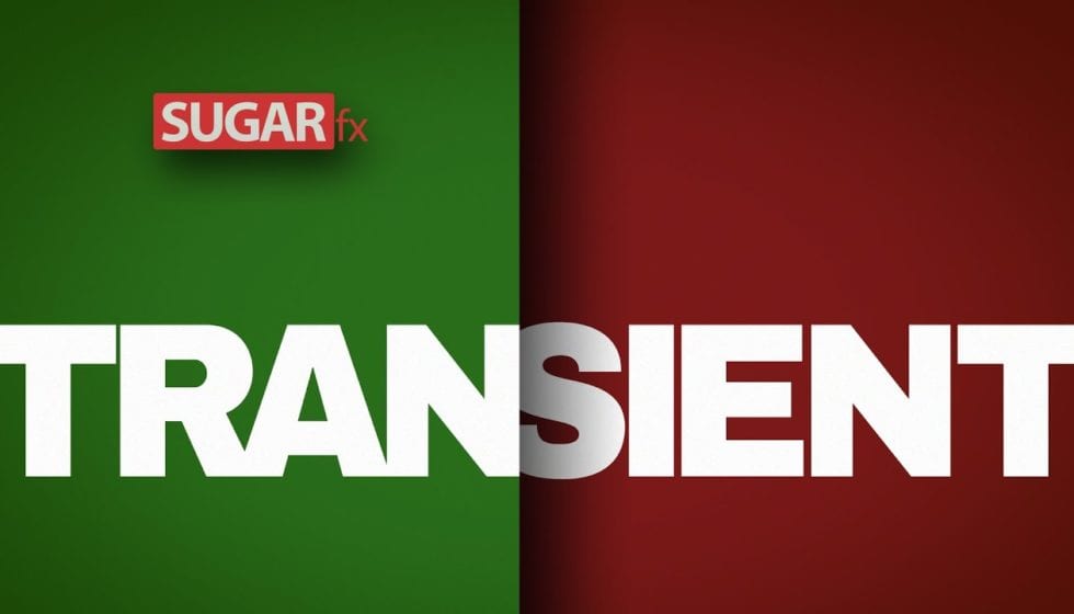 SUGARfx Transient 発売