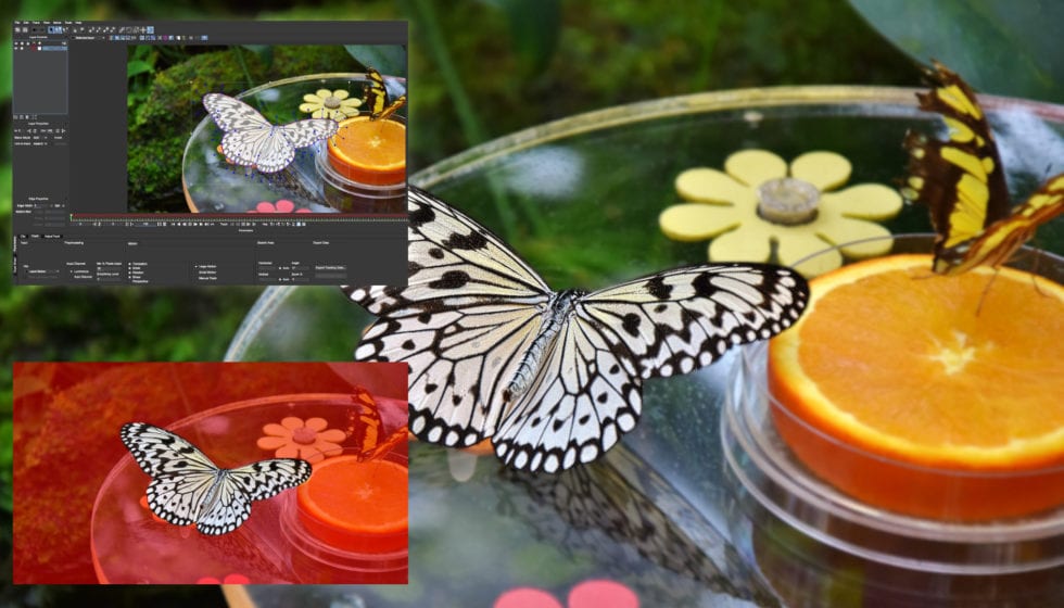 Boris_MagicSharp-Mocha