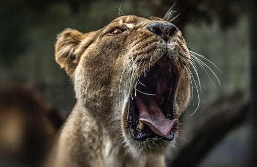 [Diffusion/Blurs]Center Spot