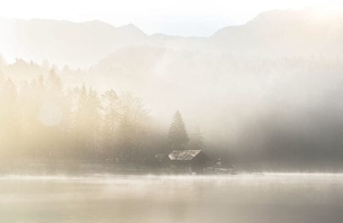 [Diffusion/Blurs]Fog