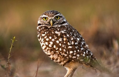 [Film Lab]S_BleachBypass