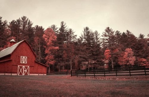 [Film Lab]S_VintageColor2Strip