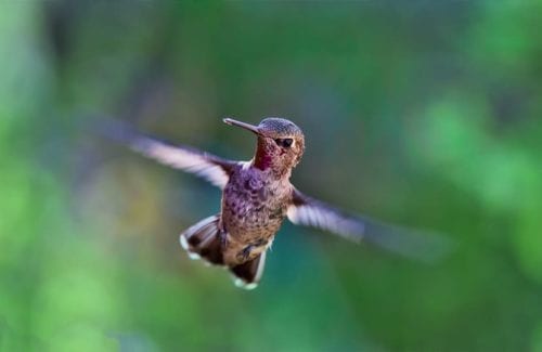 [Grads/Tints]Color Spot