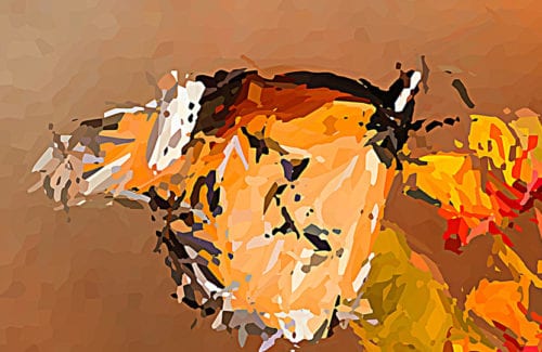 [Stylize]S_Autopaint