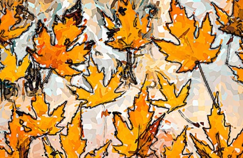 [Stylize]S_CartoonPaint