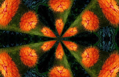 [Stylize]S_KaleidoPolar