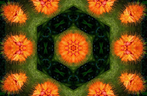 [Stylize]S_KaleidoRadial