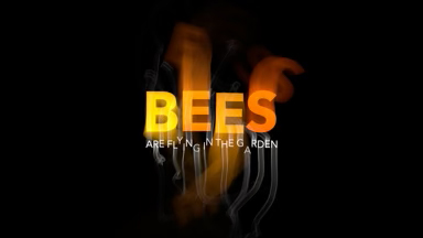 Bees-Flying-Trails-1