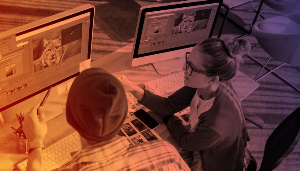 NewBlue Essentials 5 Ultimate 66%オフ フラッシュセール