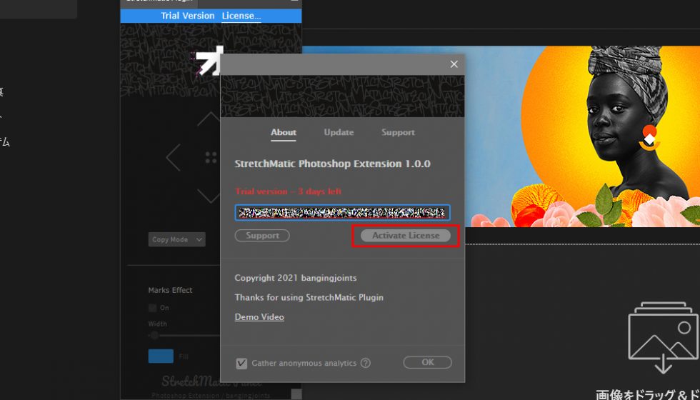 aescripts + aeplugins社 エクステンション製品 ライセンス認証方法：Step 3
