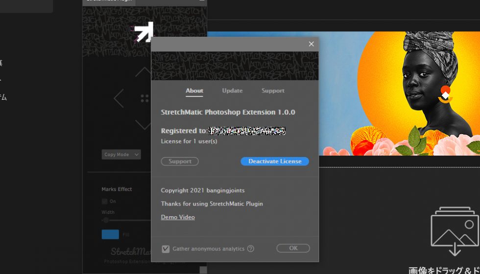 aescripts + aeplugins社 エクステンション製品 ライセンス認証方法：Step 4